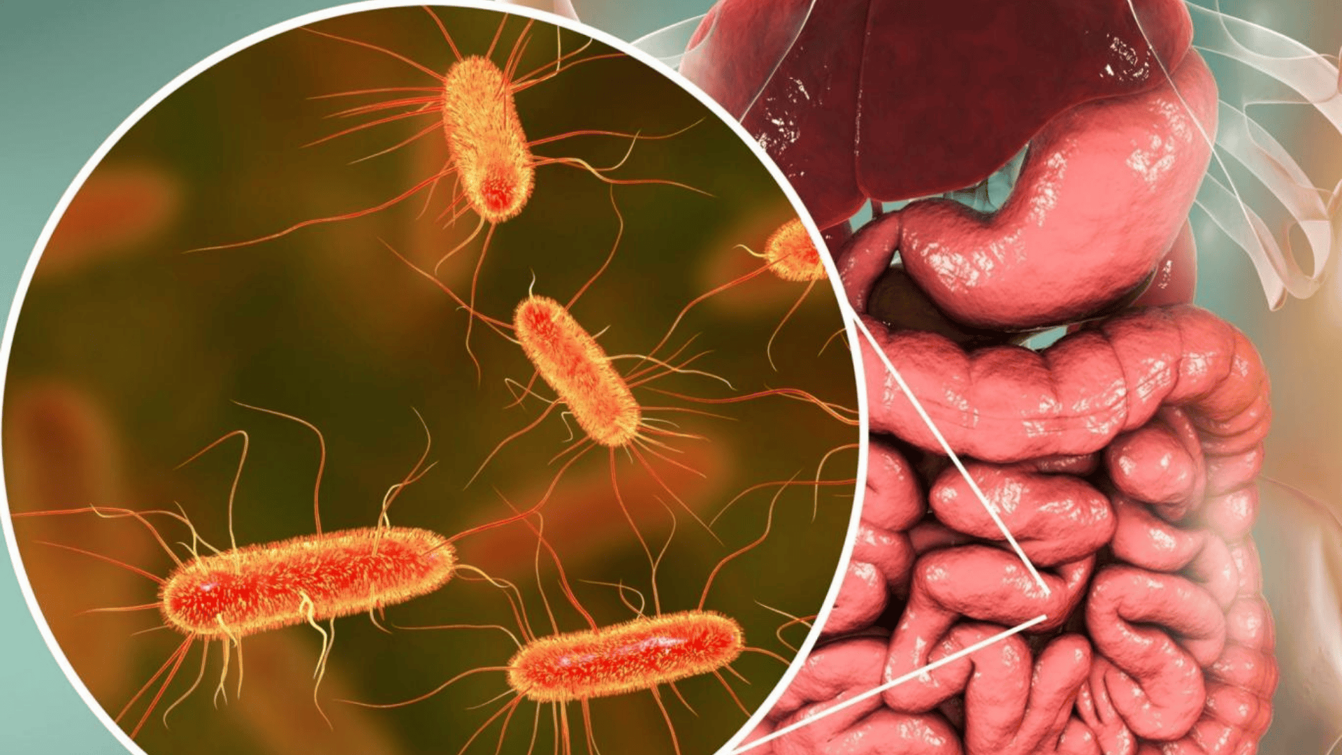 هوش مصنوعی و سلامت انسان؛ تغذیه سالم تنها در تداوم معنا دارد