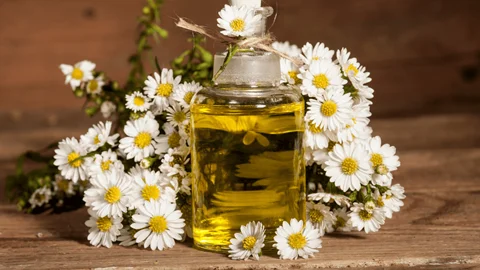 روغن بابونه برای پوست حساس: شواهد، ایمنی و روش مصرف حرفهای
